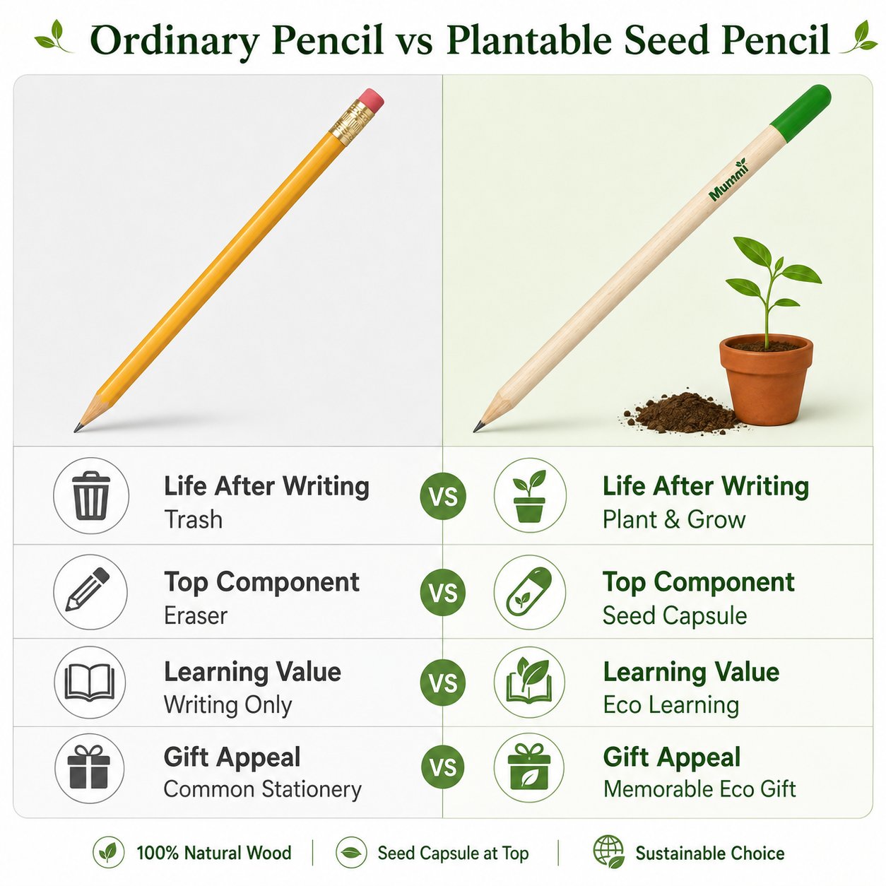🔥Last Day 49% OFF - 🌱 Plantable Green Seed Pencil — Write, Plant & Grow