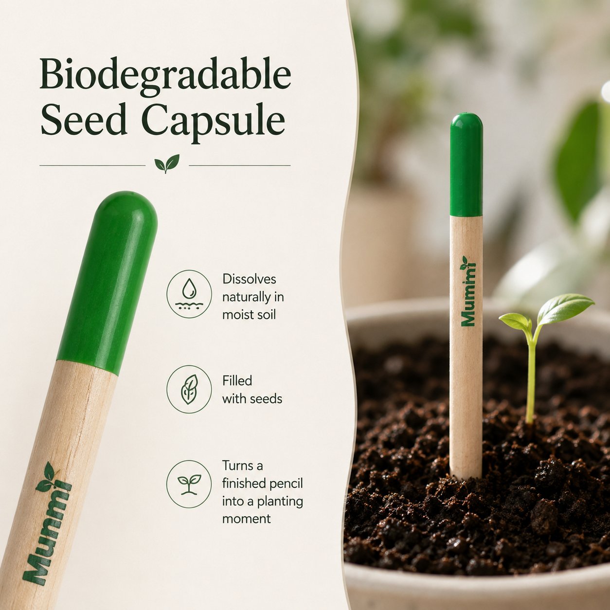 🔥Last Day 49% OFF - 🌱 Plantable Green Seed Pencil — Write, Plant & Grow