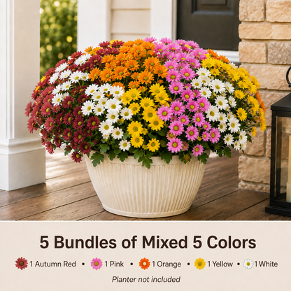 Outdoor Faux Mum Flower Bundles