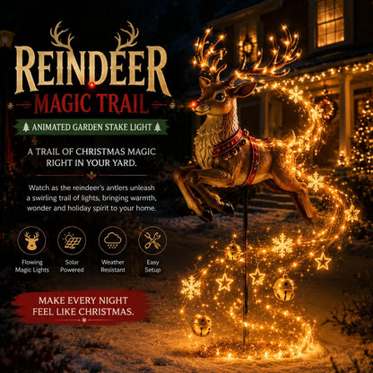 2027 Fellime® Christmas Magic Flowing Light Collection