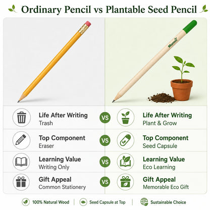 🔥Last Day 49% OFF - 🌱 Plantable Green Seed Pencil — Write, Plant & Grow