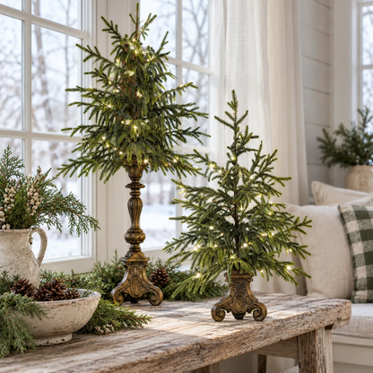 Two sizes of lighted Norfolk pine displayed together on a vintage hallway console