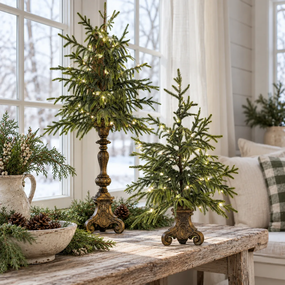 Large and small vintage Norfolk pine trees
