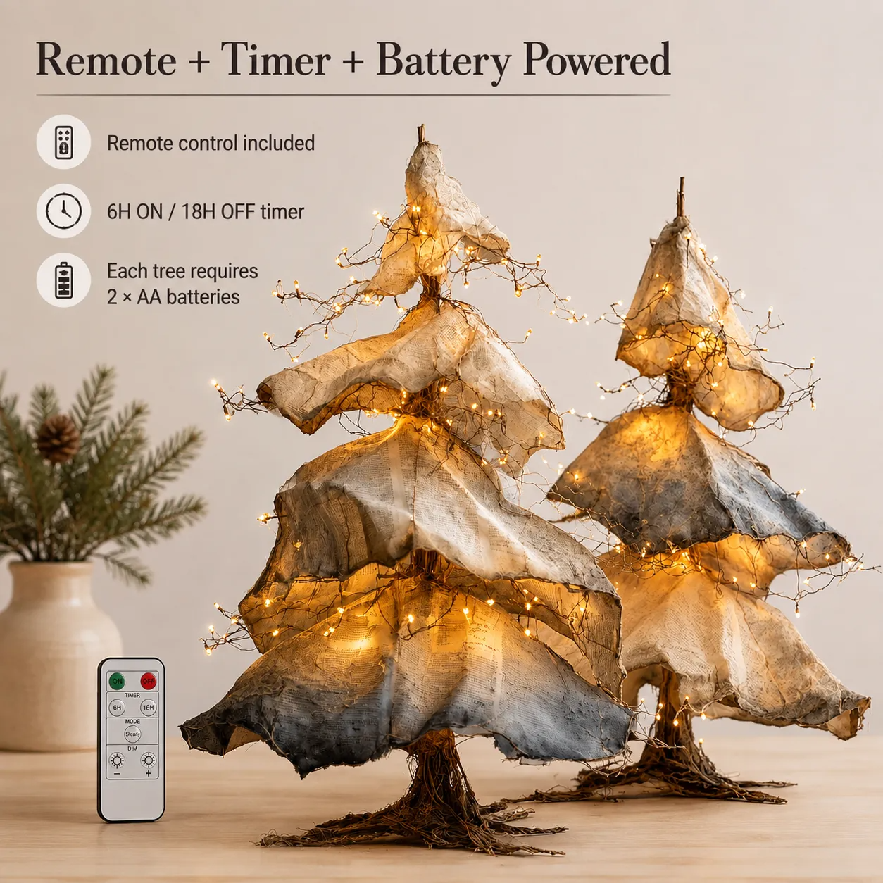 Remote control timer and battery information