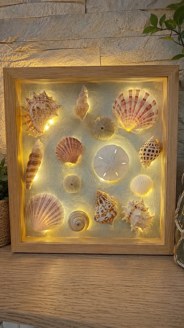 DIY Handmade Seashell Picture Frames and Decor